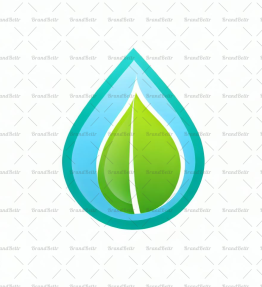 Wassertropfen und Blatt